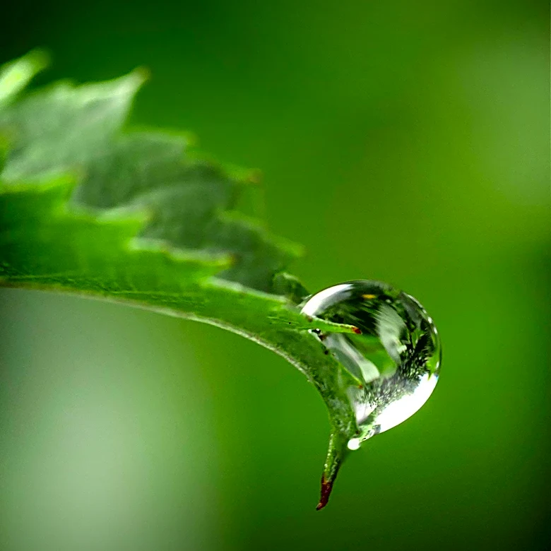 ASHRAE Provides Resources for Managing Air and Water Quality Challenges
