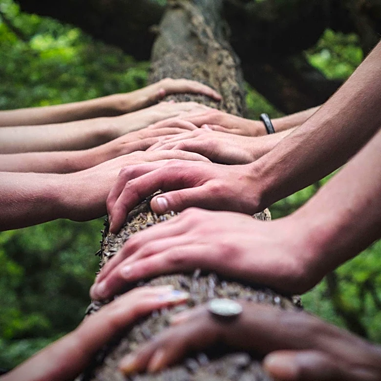 Hungarian Director Ildikó Enyedi's Film 'Silent Friend' Explores Human-Nature Connection
