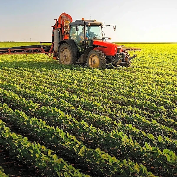 Corn Growers Urge DOJ to Investigate Fertilizer Industry Amid High Costs