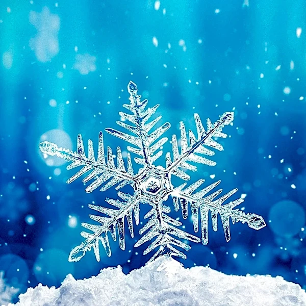 Ark Invest Sells Snowflake Shares Amid Market Volatility