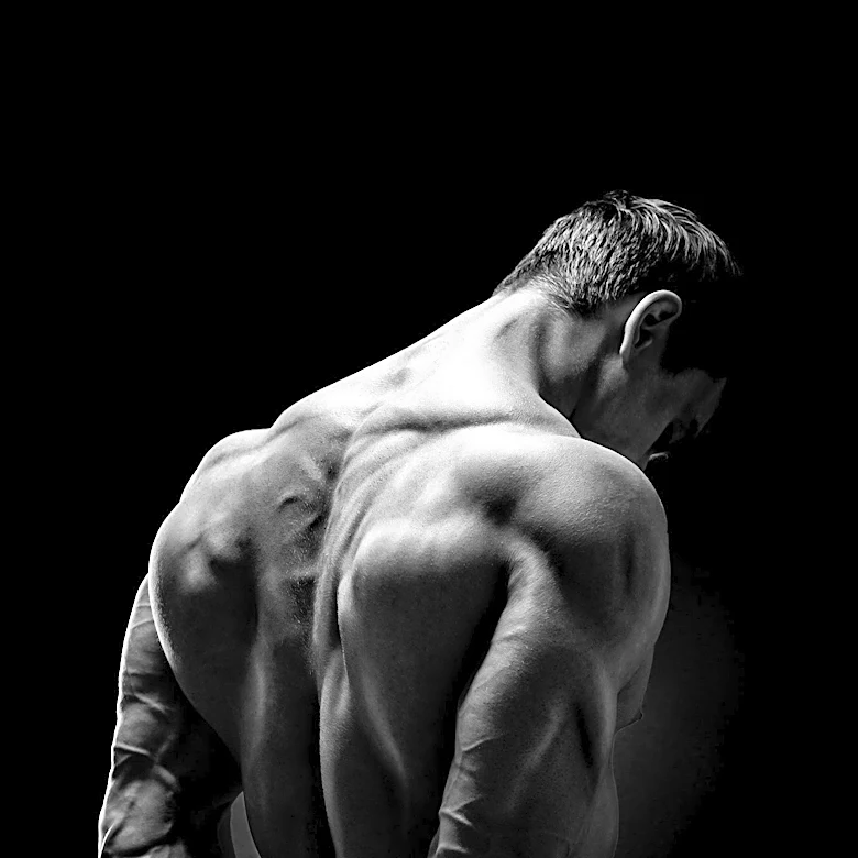 Training to Failure Not Necessary for Muscle Growth, Study Suggests