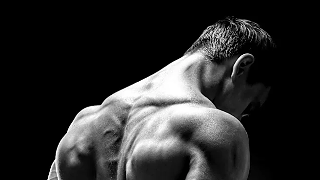 Training to Failure Not Necessary for Muscle Growth, Study Suggests