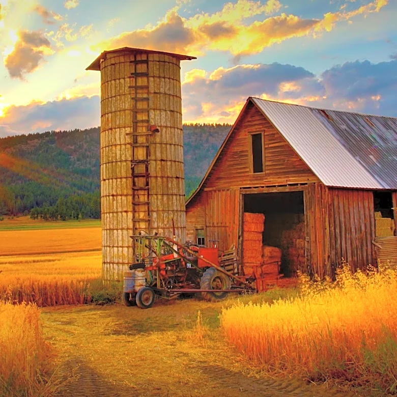Ali Larter Embraces Simpler Life in Idaho, Away from Hollywood
