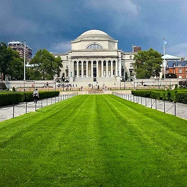 Columbia University Webinar Highlights Need for Regulatory Frameworks in Carbon Markets