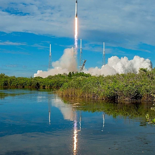 Rocket Lab Faces Stock Decline Despite Revenue Growth and Record Backlog