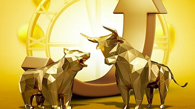 Ned Davis Research Warns of Potential End to Bull Market Amid Limited Stock Rally
