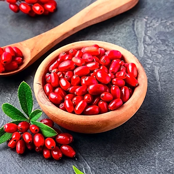 Berberine and Probiotics: A Synergistic Approach to Metabolic Health