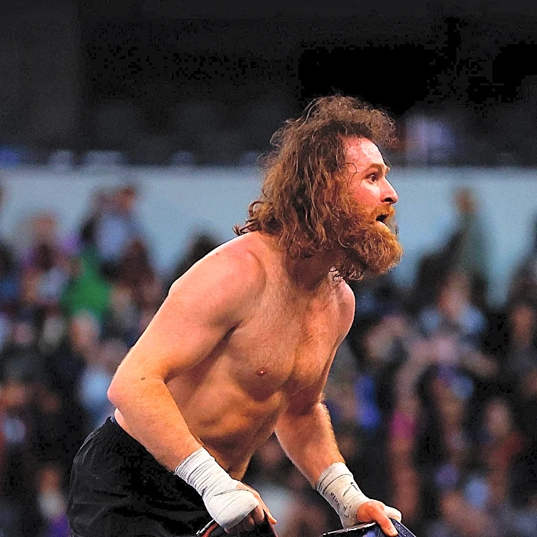 WWE Money in the Bank 2026: Sami Zayn Among Top Contenders for Men's Ladder Match