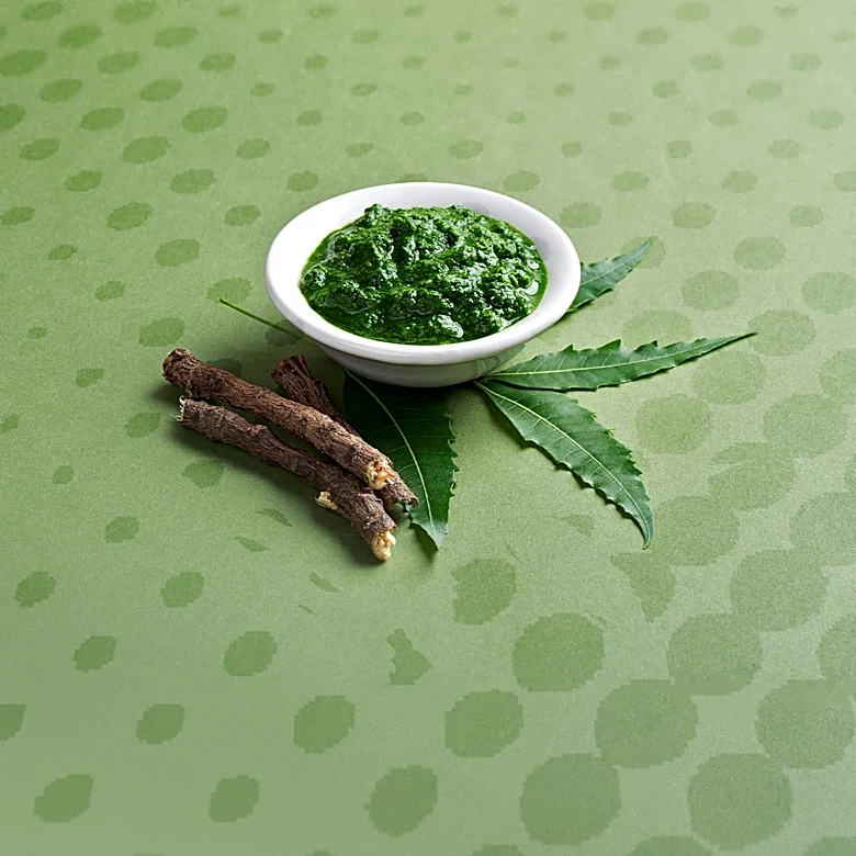Experts Discuss Health Benefits of Moringa for Women