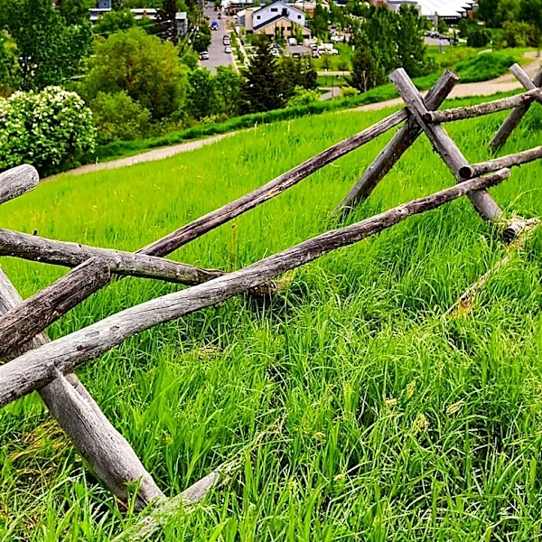 Underrated Mountain Towns in Washington Offer Scenic Escapes