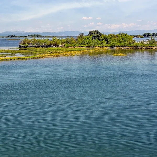 Shelter Island: A Tranquil Alternative to the Hamptons