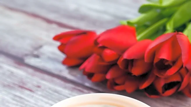 Bloomeffects Utilizes Upcycled Dutch Tulips for Innovative Skincare Products