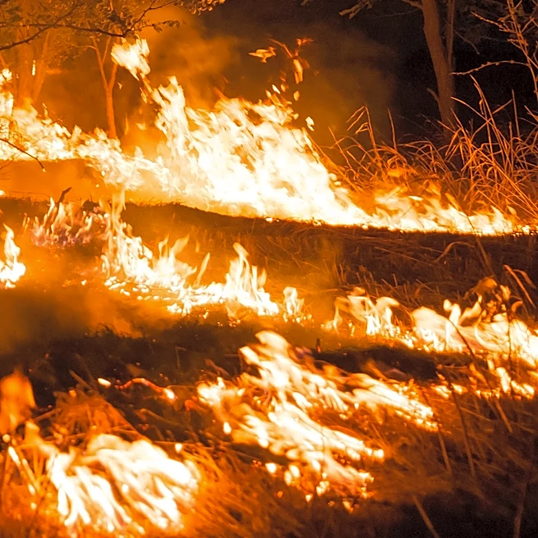 California FAIR Plan Announces Significant Rate Hike for Homeowners Amid Wildfire Risks