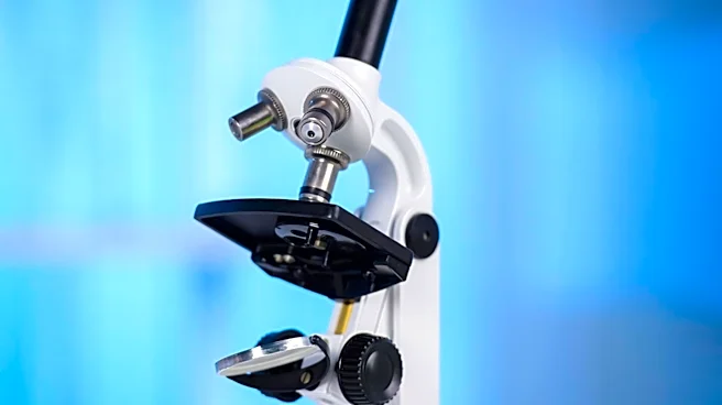 Eli Lilly Advances Spatial Biology and Genomics for Oncology Drug Discovery