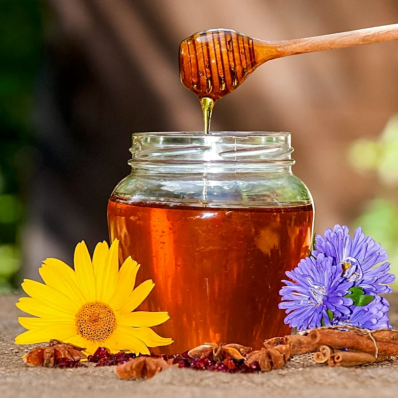 Gut Health: The Role of Honey as a Prebiotic and Its Impact on Digestive Wellness