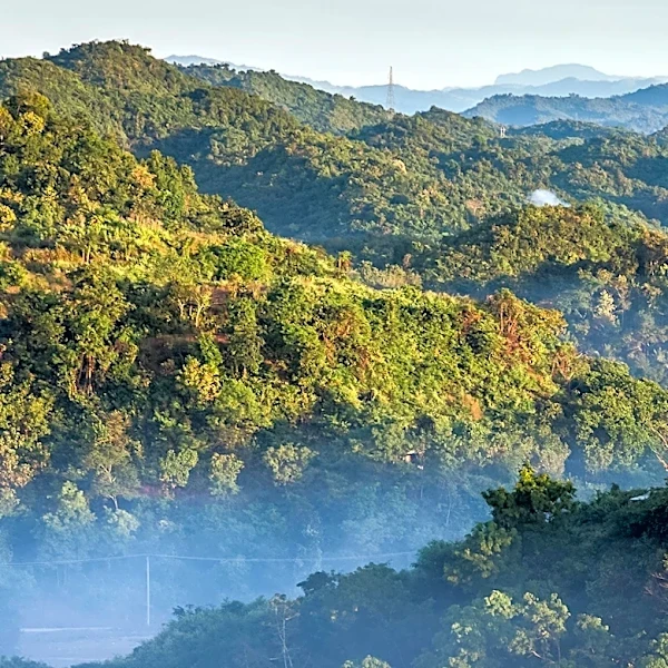 Planning a Memorable Mountain Vacation in the Smoky Mountains