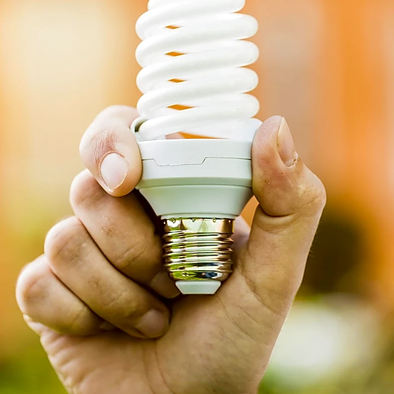 Texas Libraries Innovate with Low-Cost, Sustainable Programming