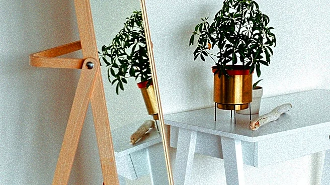 Rectangle Wall Mirror Trends Highlight Minimalist Design in American Homes