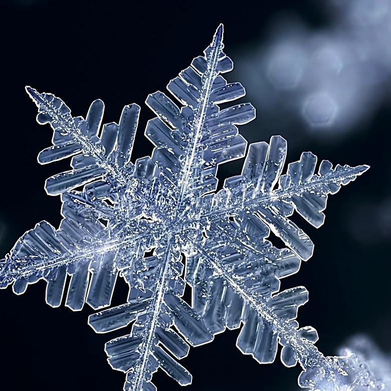 Wasatch Advisors Acquires Stake in Snowflake Amid Institutional Interest