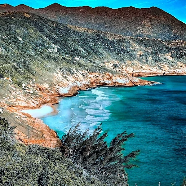 Descanso Beach Ocean Sports Offers Diverse Water Adventure Rentals on Catalina Island