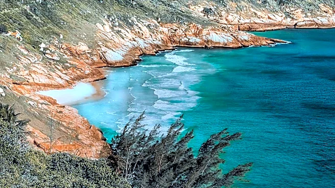 Descanso Beach Ocean Sports Offers Diverse Water Adventure Rentals on Catalina Island
