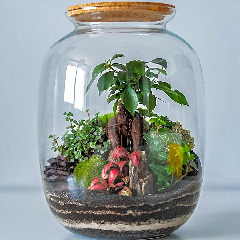 DIY Terrarium Planter: Transforming Pickle Jars into Creative Home Decor