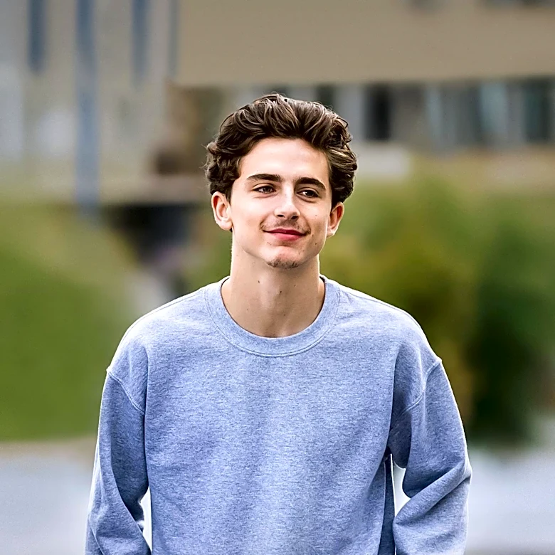 Timothée Chalamet's Career and Public Perception Explored Amidst Name Confusion