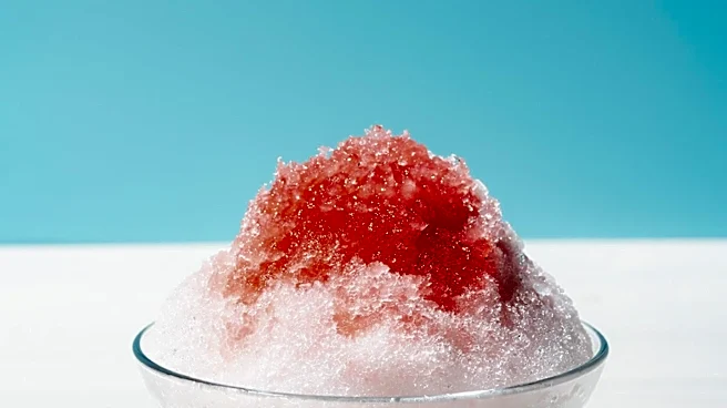 L.A. Shaved Ice Shops Offer Refreshing Summer Treats
