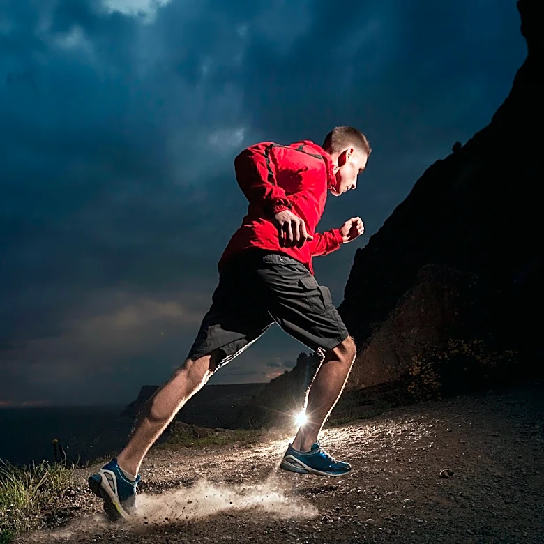 Behavioral Research Highlights Action as Key to Motivation