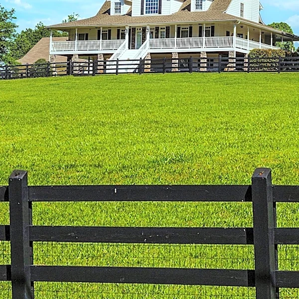 Ryanair Co-Founder's Kentucky Horse Farm Listed for $58 Million