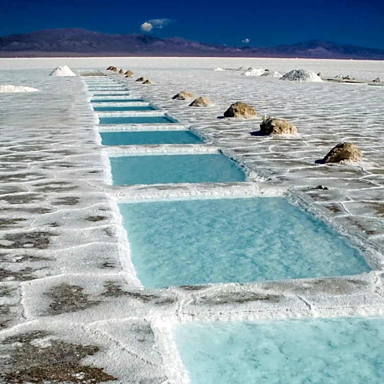Innovative Extraction Method by Marie Perrin Could Transform Rare Earth Industry
