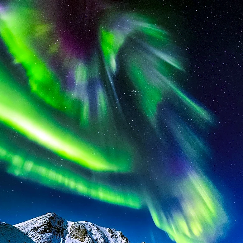 Northern Lights Tours in Tromsø Offer Unique Aurora Experiences