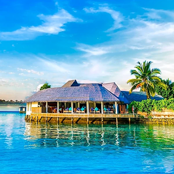 Disney Unveils New Details for Lakeshore Lodge, Highlighting Dining and Accommodation Features