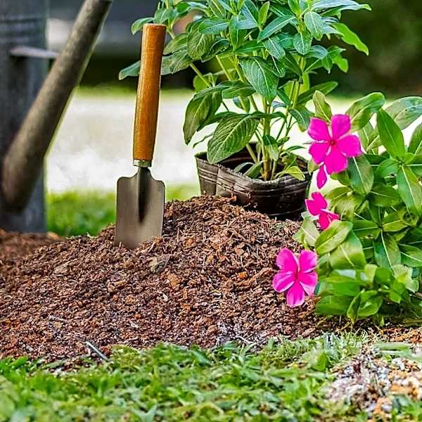 Alabama Nursery 'Petals from the Past' Offers Extensive Garden Design Ideas and Heirloom Plants
