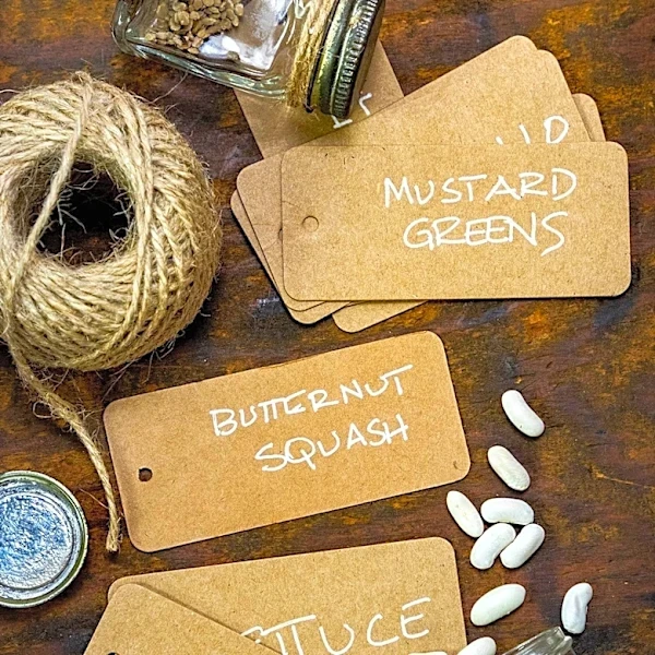 Gardeners Encouraged to Collect Flower Seeds in August for Future Planting and Cost Savings