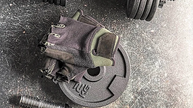 Fitness Experts Compare Dumbbells and Barbells for Beginner Muscle Building