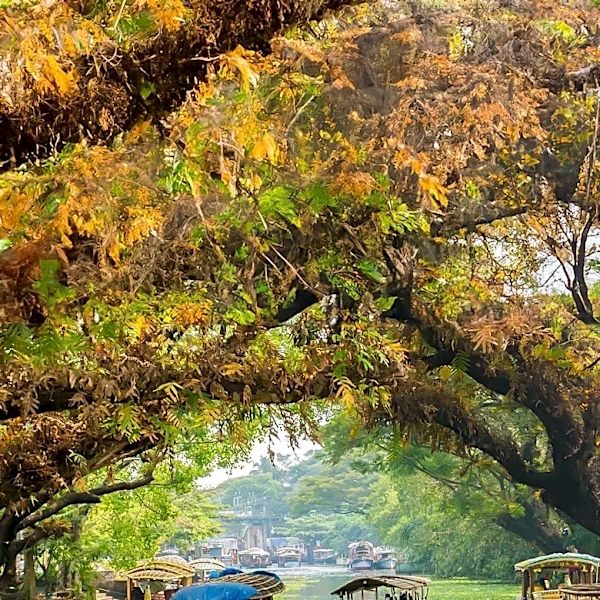 Indian Travelers Embrace Micro-cations During Monsoon Season, Driving Growth in Non-Metro Destinations