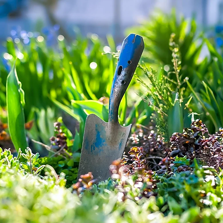 Manual Reel Mowers Offer Eco-Friendly Alternative to Gas and Electric Models