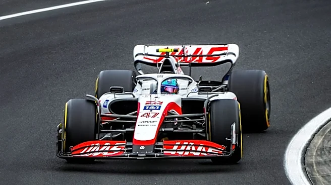 Former Haas F1 Team Principal Guenther Steiner Regrets Not Leaving Earlier, Citing Owner's Potential Loss of Interest
