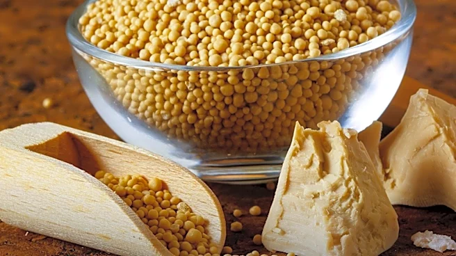 dsm-firmenich Scales Protopia Yeast Protein Production, Targeting Fishmeal and Whey Markets