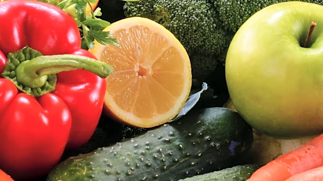 Plant-Based Diets Emphasize Whole Foods for Health Benefits, Reducing Chronic Disease Risk