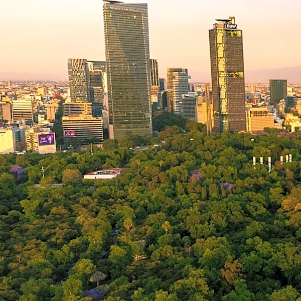 Diptyque Launches Luxury Pop-Up Experiences at Select Ritz-Carlton Hotels