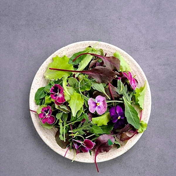 Ina Garten's New Cookbook Features Seasonal Salad Variations