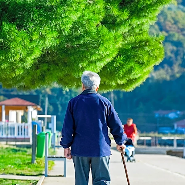 Walking Offers Significant Cardiovascular and Cognitive Benefits for Individuals Over 50