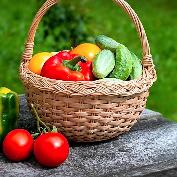 Maine Gardener Discovers Bountiful Harvest After 10-Day Absence, Highlighting Benefits of 'Neglect'
