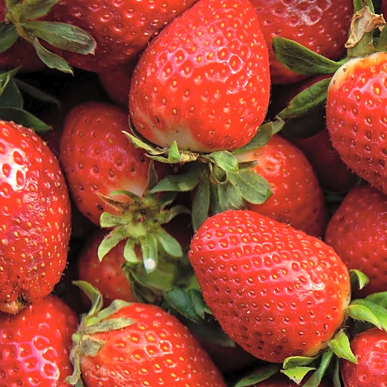 Driscoll's Recommends Room Temperature for Optimal Strawberry Flavor