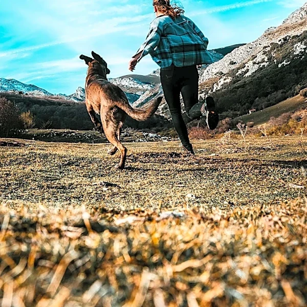 Solo Travel with Dogs Gains Popularity, Offering Companionship and Safety for Women