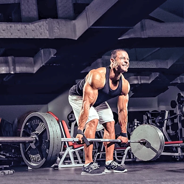 Basic Fitness Routine Emphasizes Compound Exercises and Progressive Overload for Muscle Gain