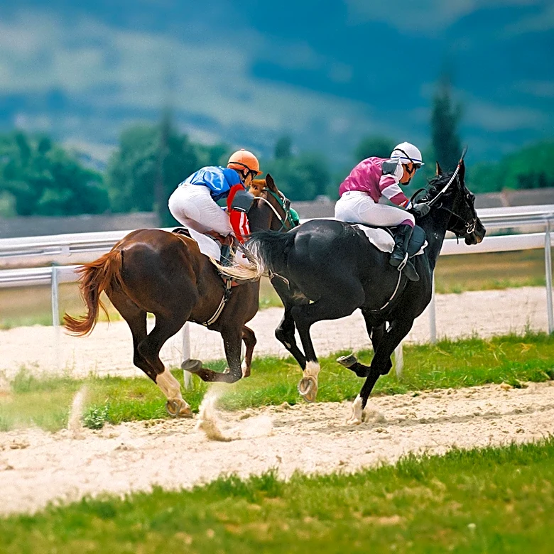 Jockey Club Initiates Steps to Remove Marshall Gramm Over Unauthorized Access to HISA Veterinary Information