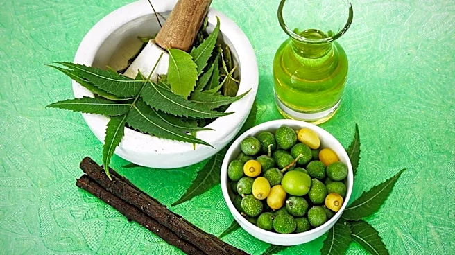 Maharishi Ayurveda Details Sourcing and Testing Standards for Authentic Ayurvedic Supplements
